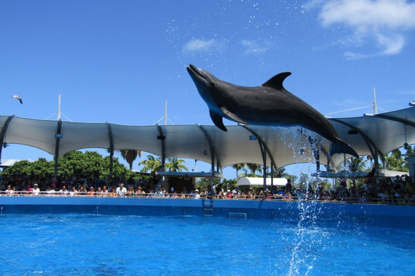 Dolphin Water World, Mathura